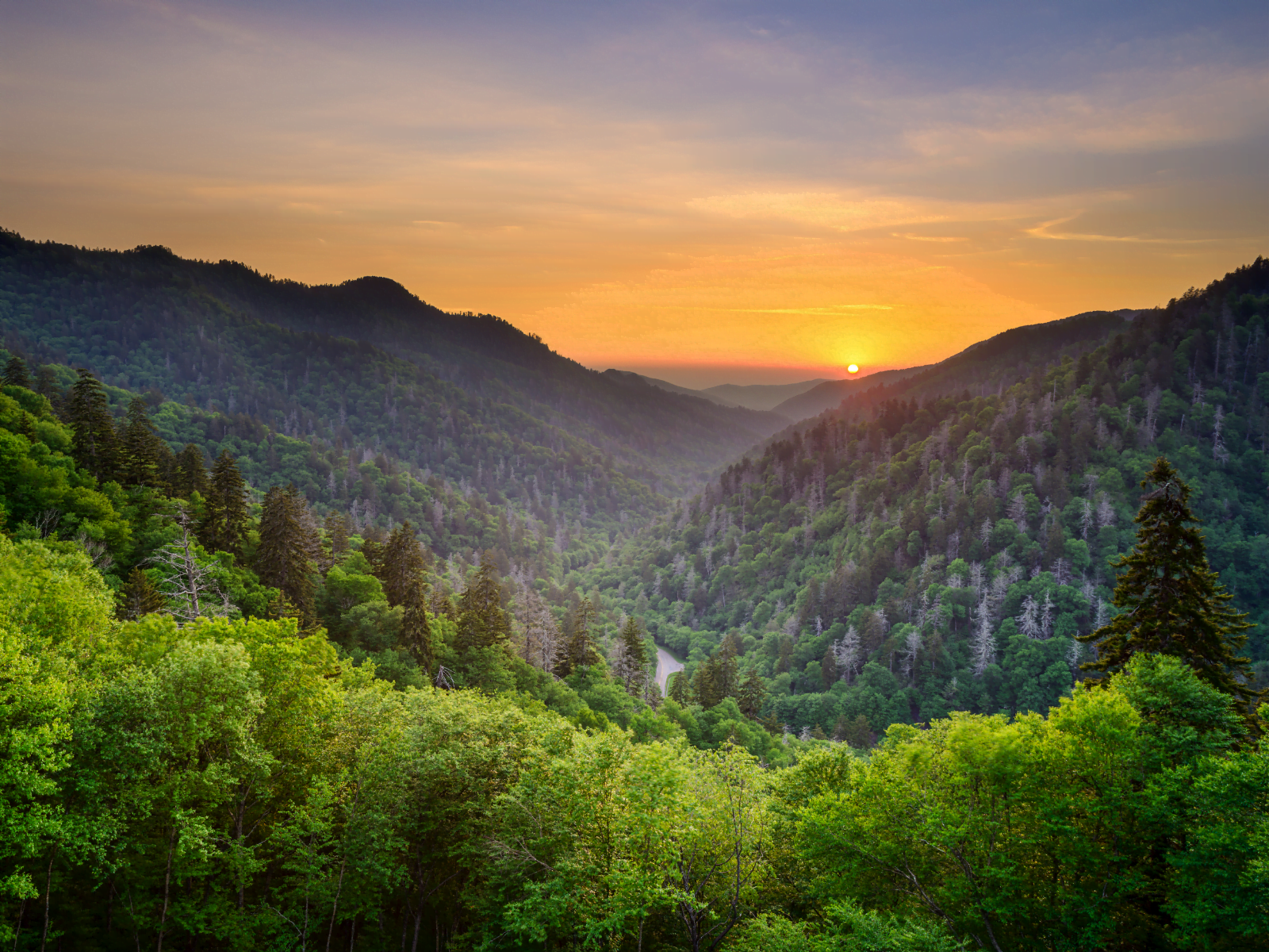 3 of the Best Sightseeing Tours in Gatlinburg, TN You Have to Try