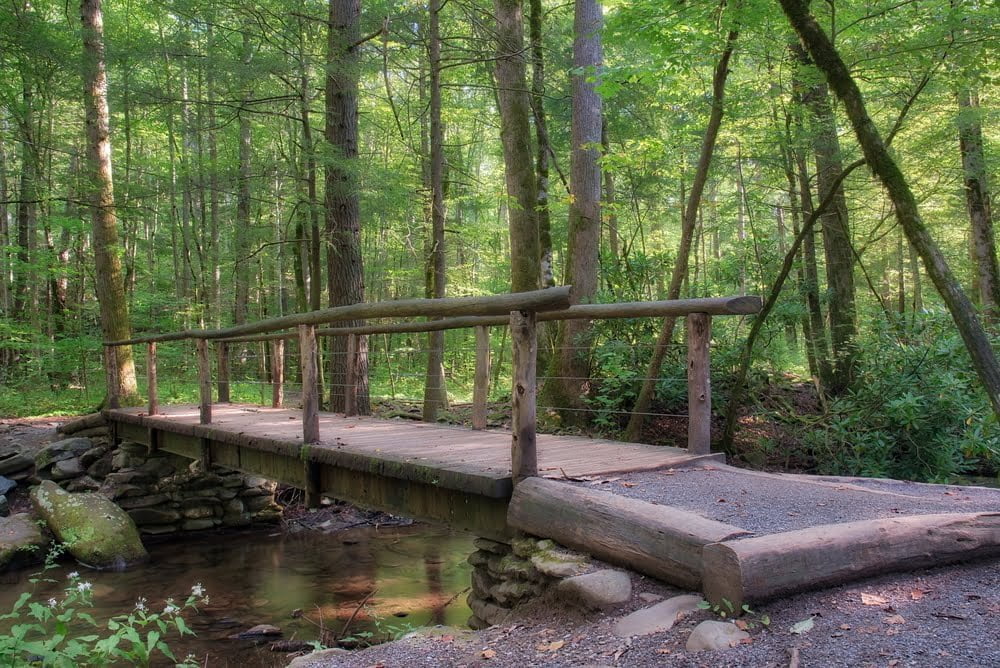 Top 6 Hiking Trails in Gatlinburg