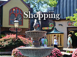 Shopping