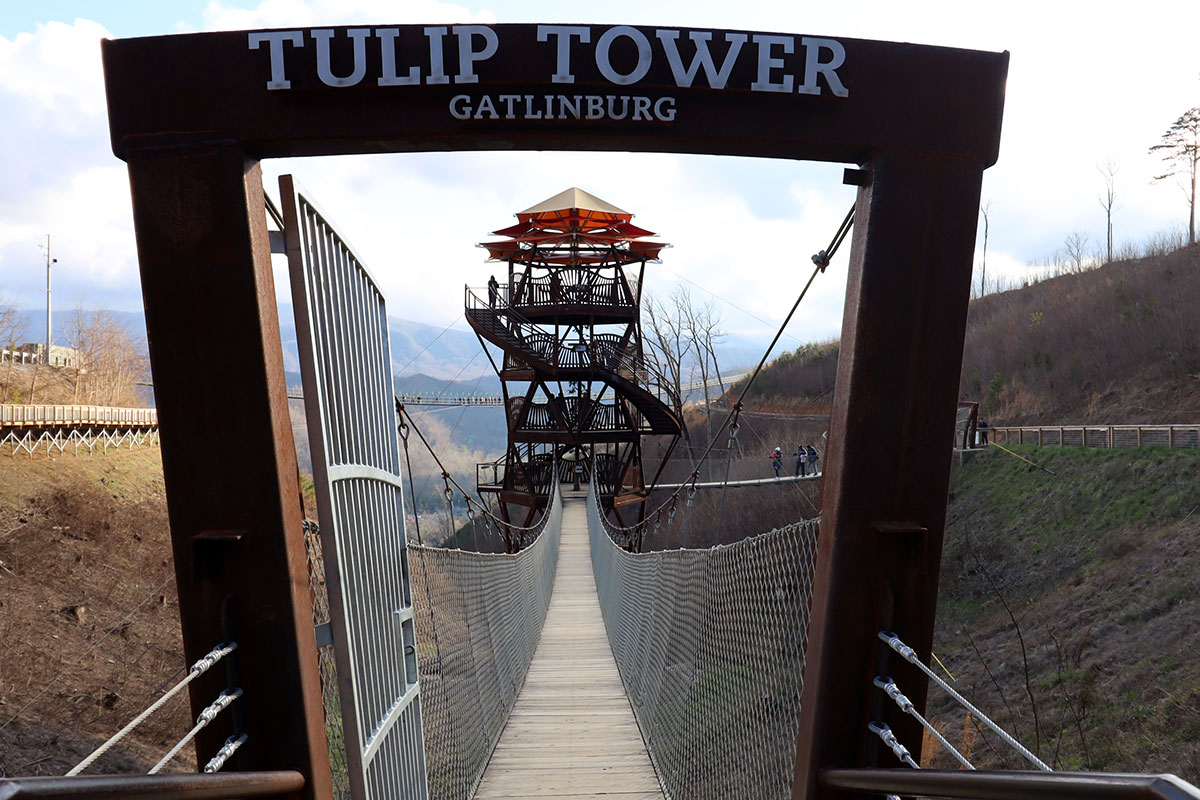 Tulip Tower