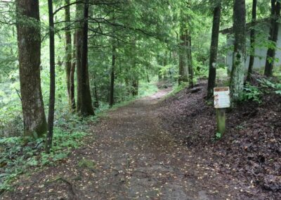 Walking trail